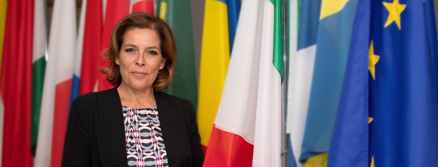 Politiche del lavoro e formazione dall'Unione europea ai territori