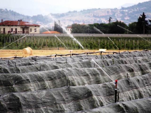 irrigazione.jpg