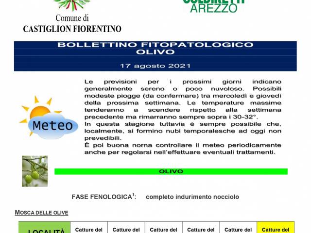 09 BOLLETTINO FITOPATOLOGICO OLIVO COMUNE DI CASTIGLION FIORENTINO anno 2021_page-0001.jpg