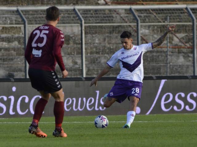 Arezzo-Fiorentina (9).jpeg