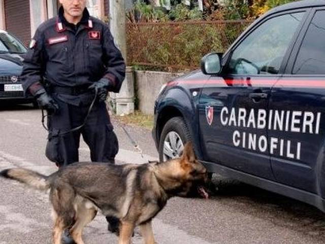 Carabinieri_cinofili_.jpg