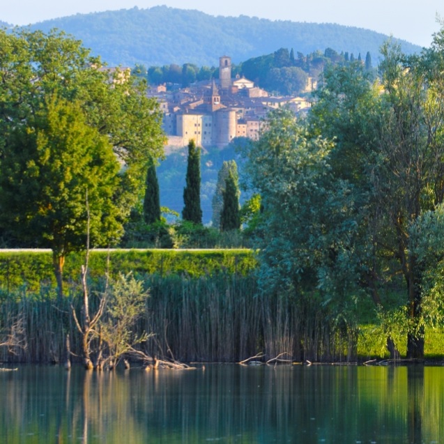 Anghiari_123