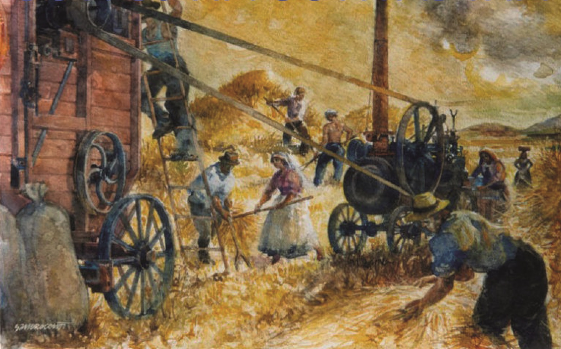 Antica_battitura_castiglion_fibocchi