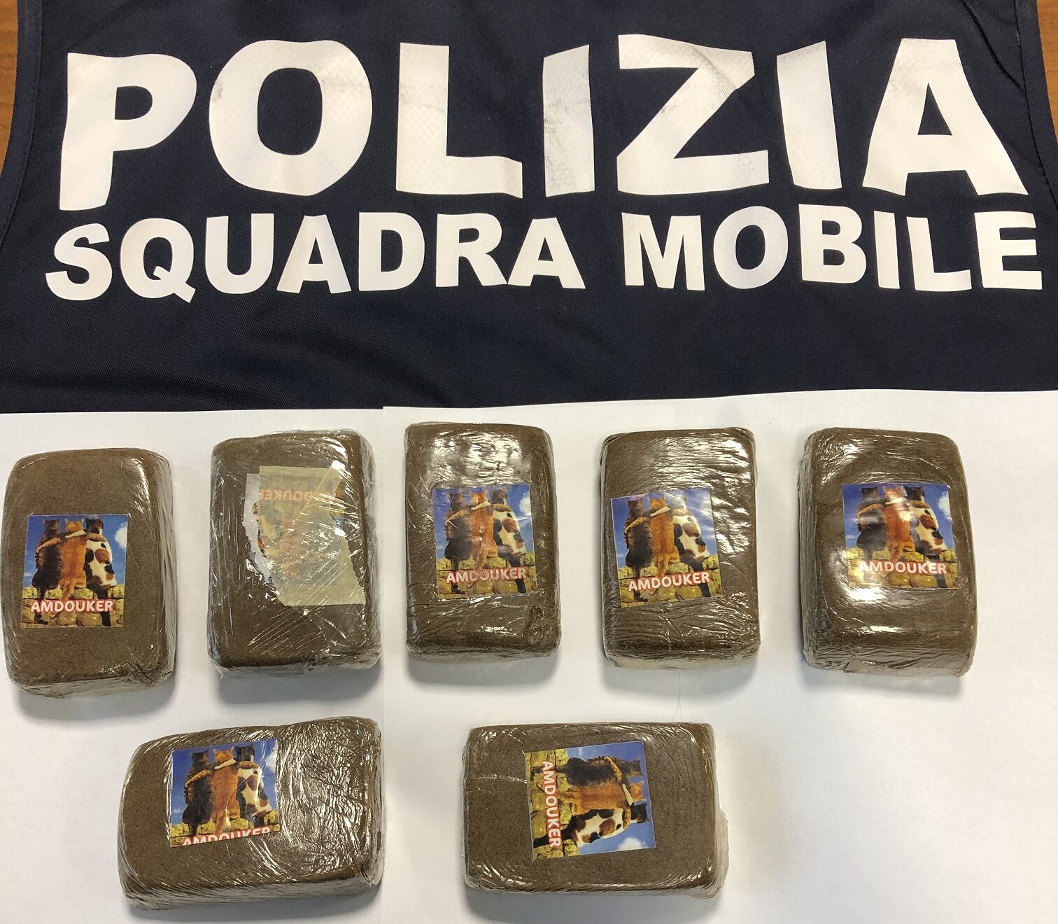 Comunicato stampa arresto per detenzione ai fini di spaccio gennaio 25