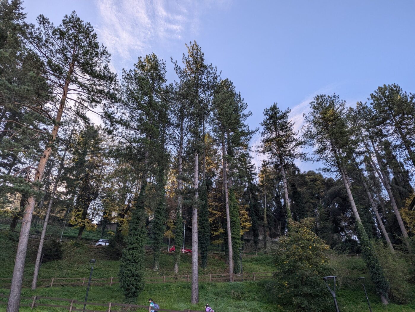 PXL_20241107_065454346