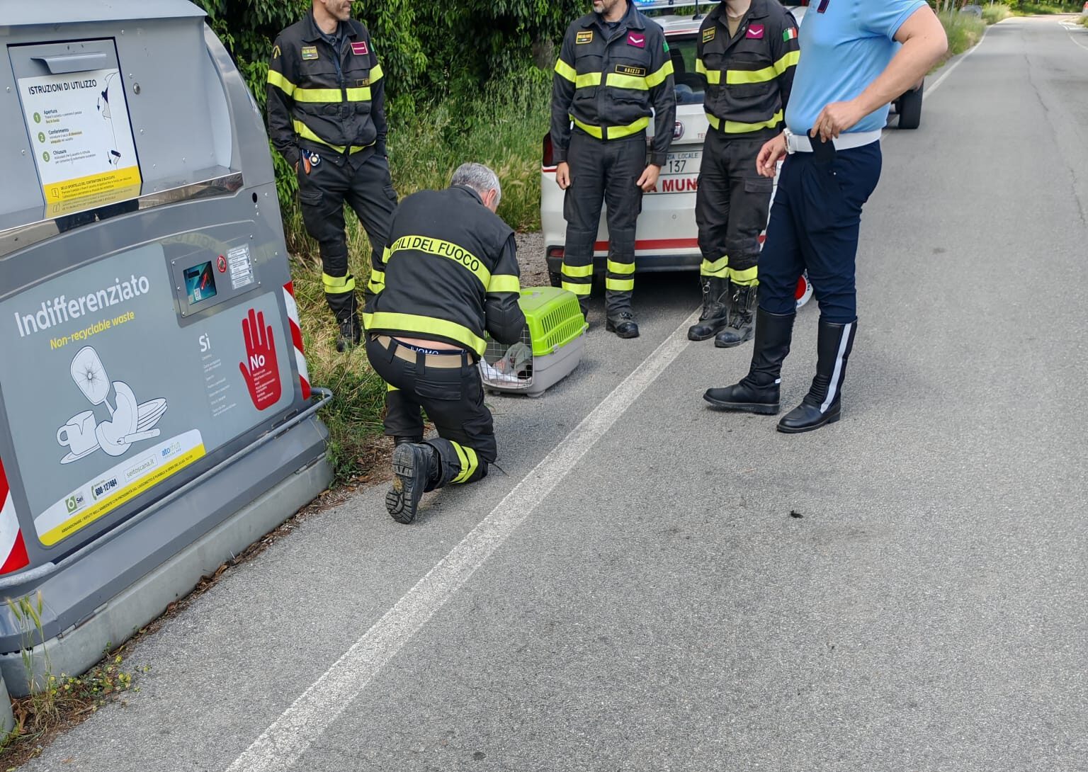 SeiToscana_Bibbiena_salvamento_cuccioli_gatto_1