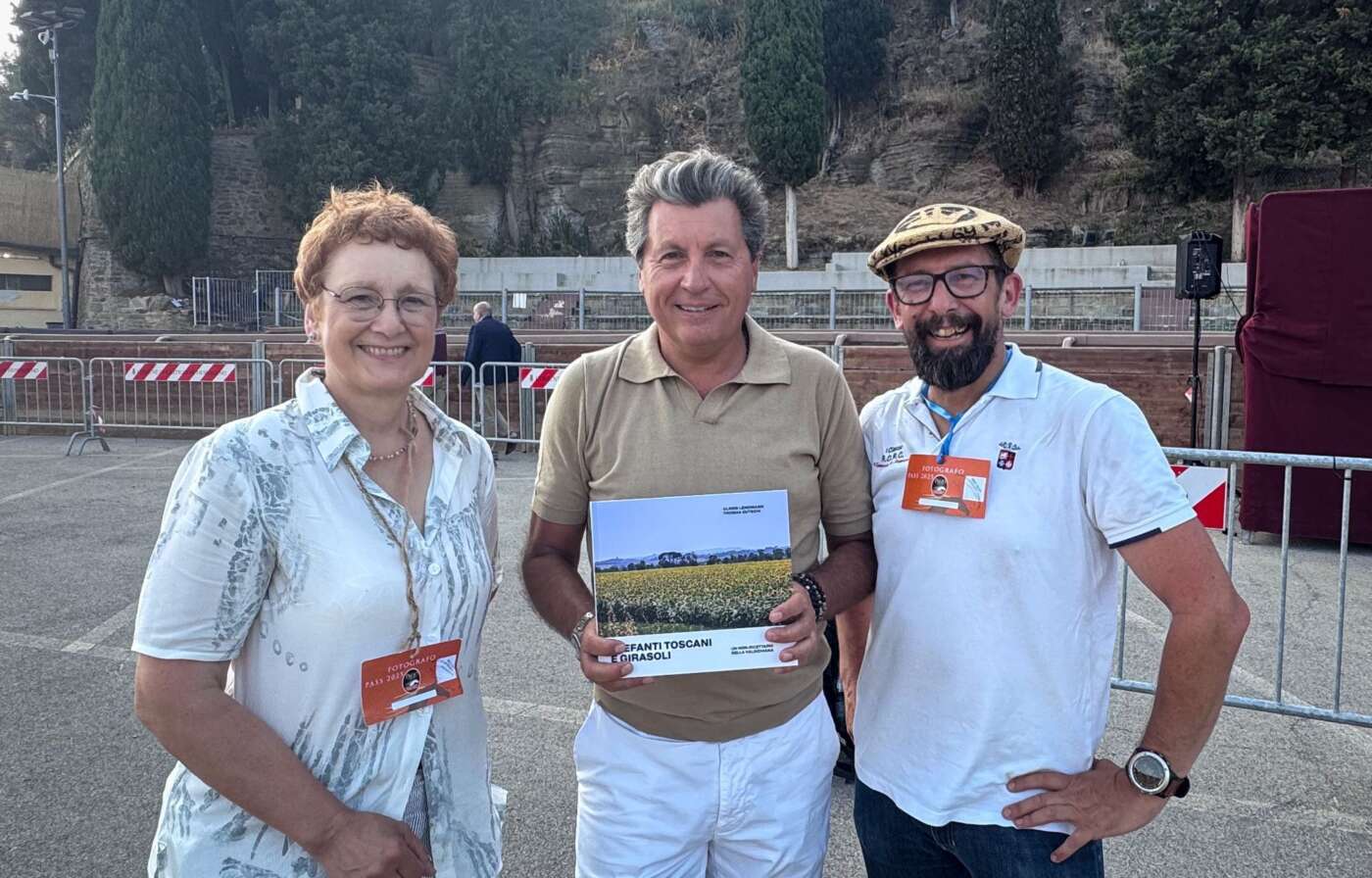 elefanti toscani e girasoli