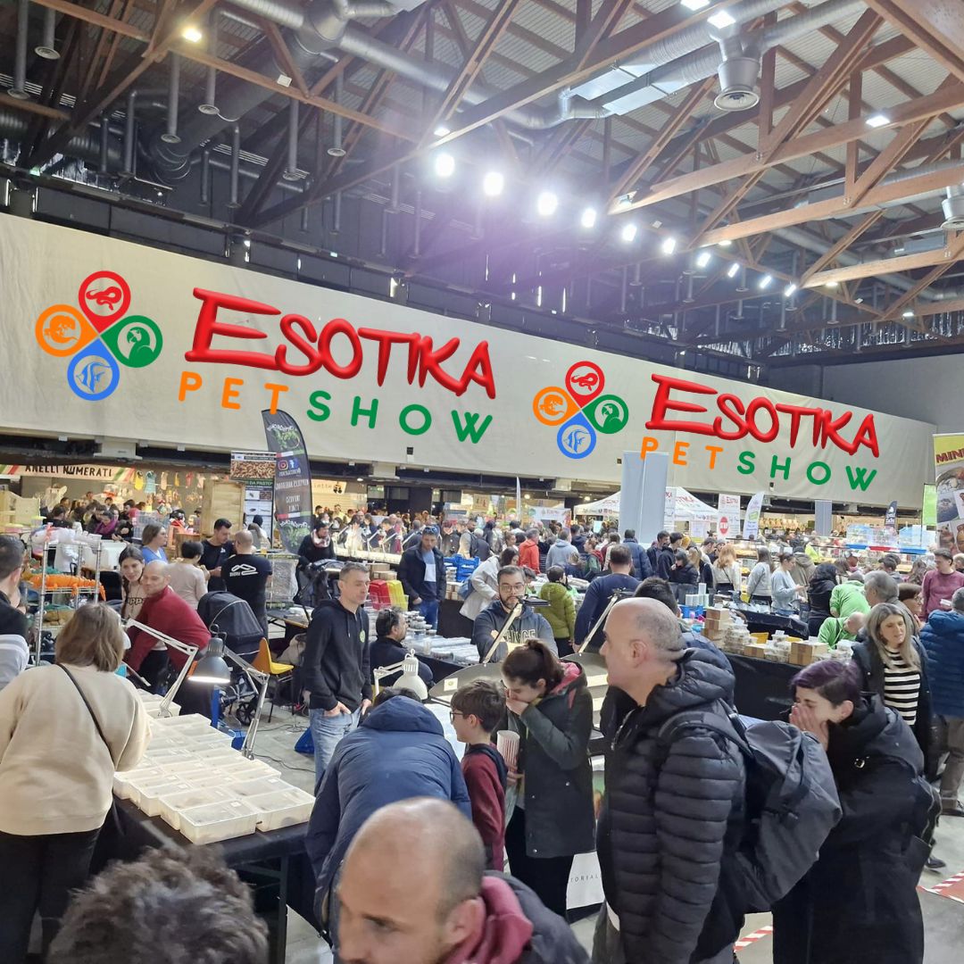 esotika_pet_show