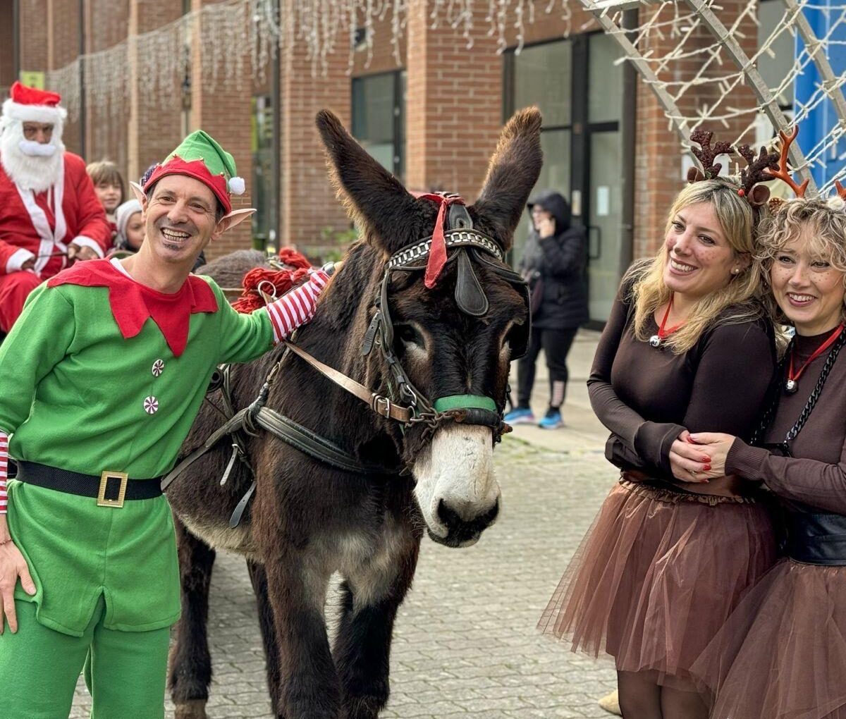 natale camucia pertini 23 01