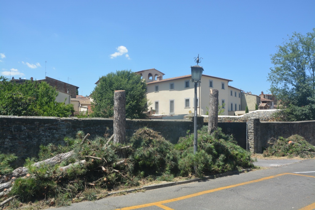 L’assessore diventa verde, ma Arezzo è sempre meno verde
