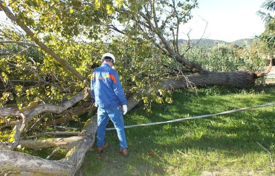 1531730492_image