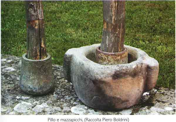 1534874656_Pilli_002