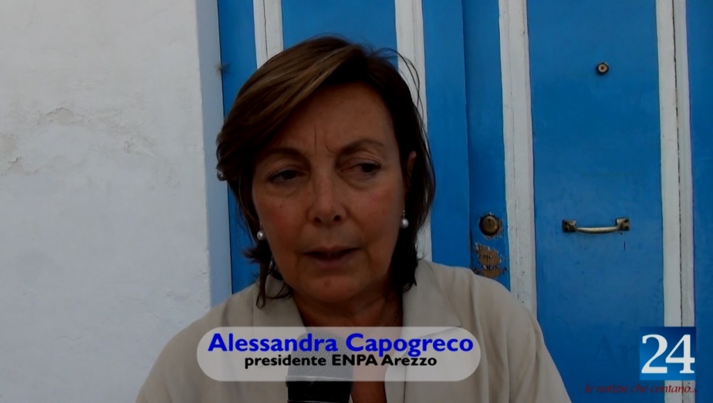 Giornata anti abbandono: nel week end Enpa Arezzo in piazza San Jacopo – VIDEO