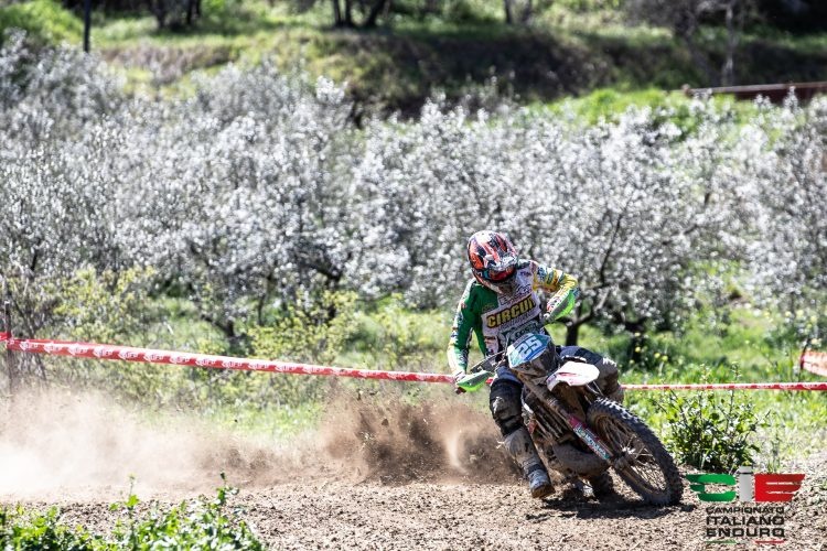 1536312057_Matteo-Cavallo-a-Castiglion-Fiorentino-750x500_1