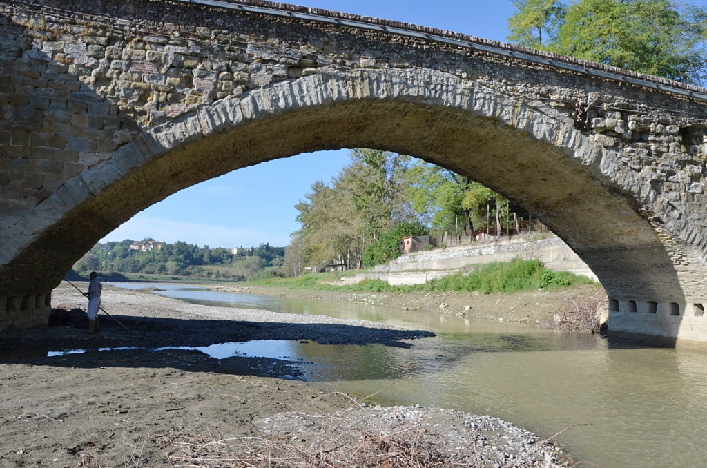 Sul ponte della Gioconda  nascono i fichi