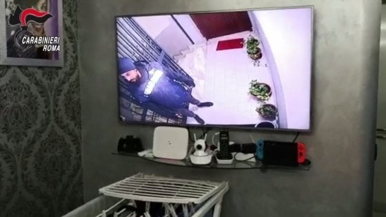 1542731689_carab