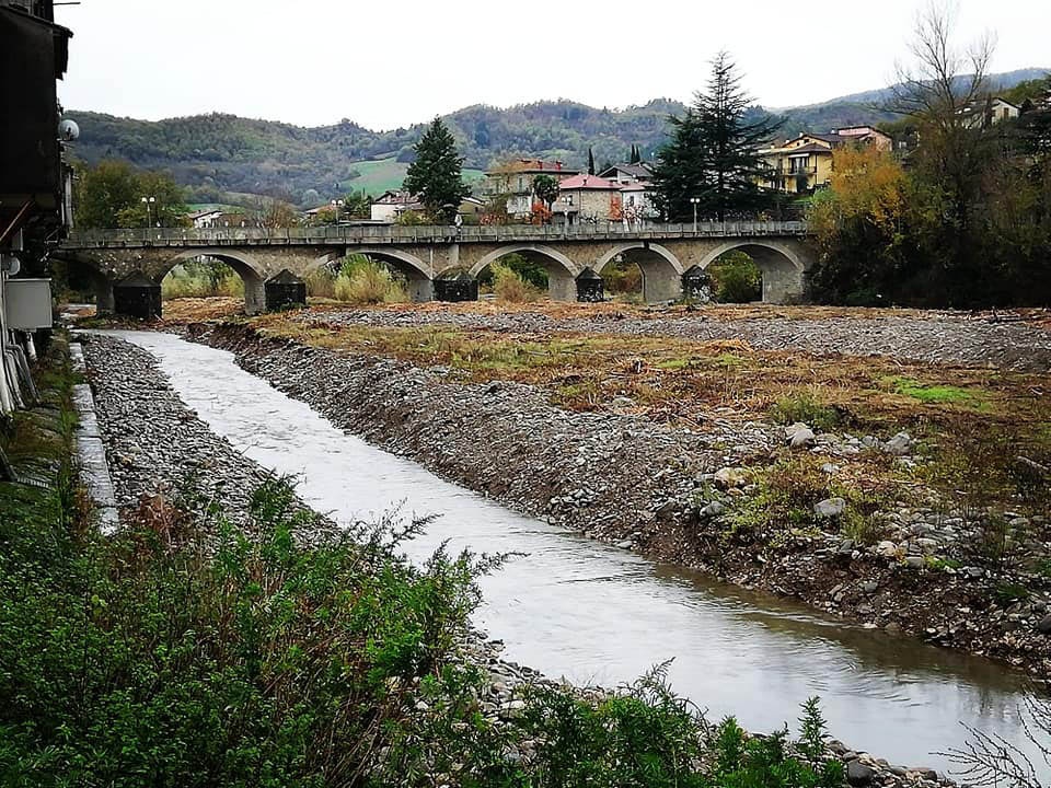1542795237_Rassina_lavori_sullarno_002