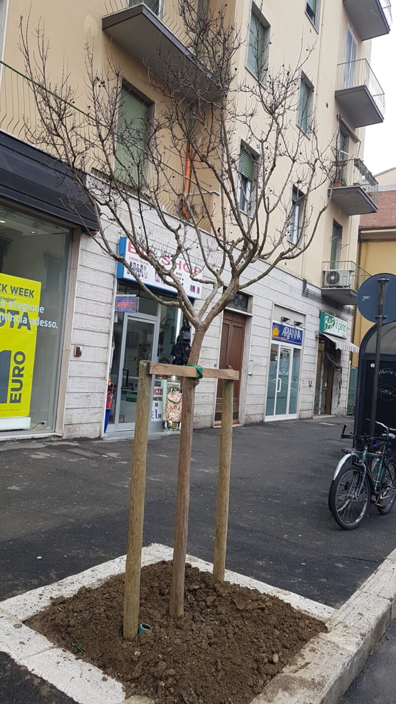 Ad Arezzo una settimana di guerra pace frodi e pentimenti