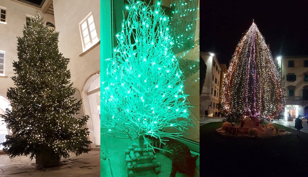 Ad Arezzo alberi di Natale senza palle – Beppe Angiolini straccia il vicesindaco