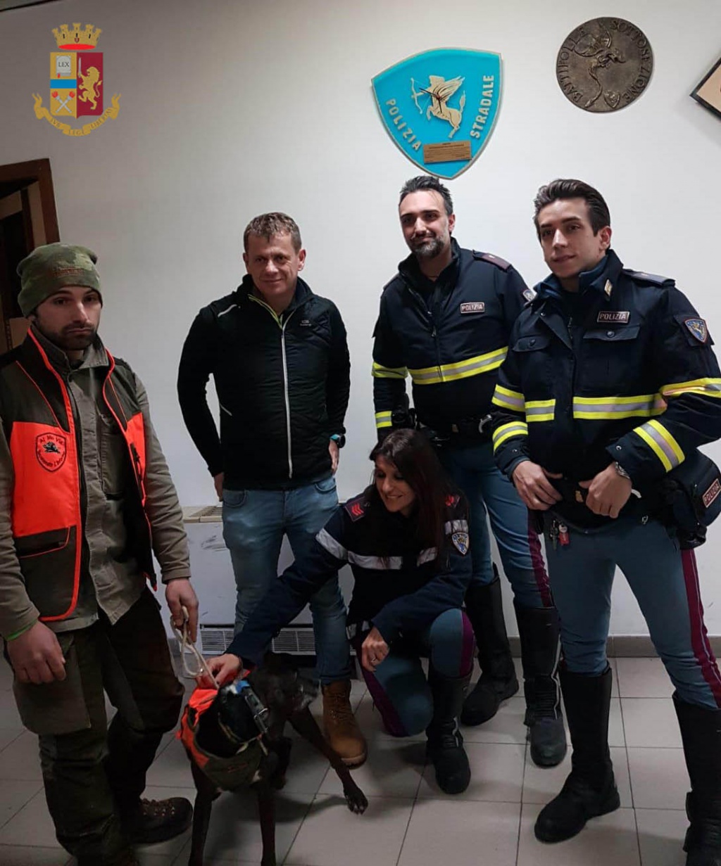 1546433588_AREZZO_-_Cane_salvato_in_A1_la_Polstrada_rintraccia_il_padrone_e_li_fa_riabbracciare_2-1-19