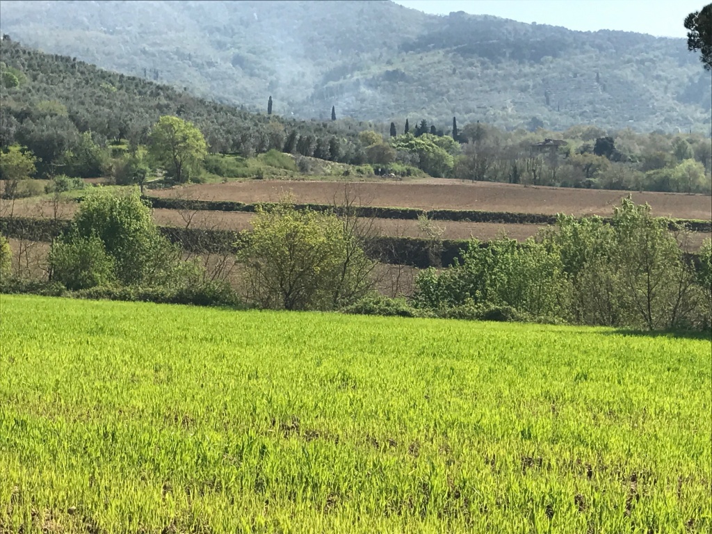 1546951896_IMG_3999
