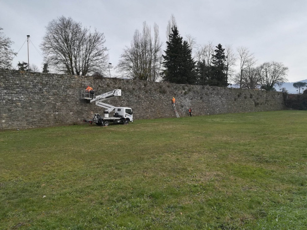 Sansepolcro, nuovo intervento di pulizia delle mura storiche