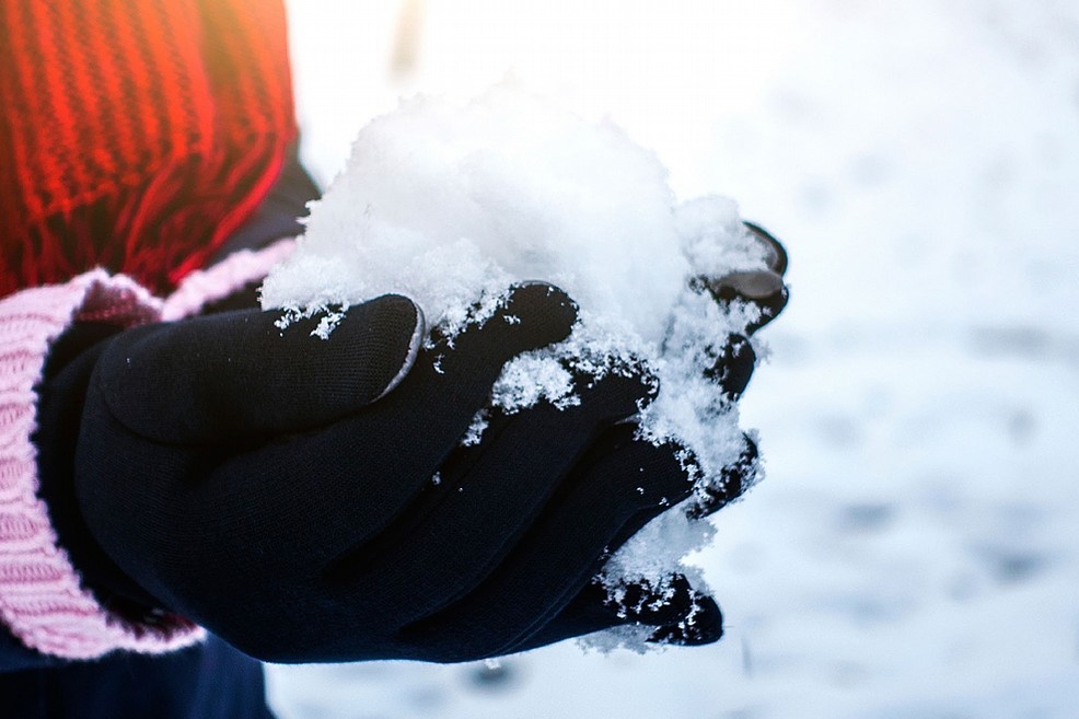 1548185209_neve