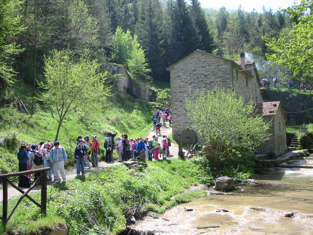1554376011_Mulino_di_Fiumicello_Archivio_Parco