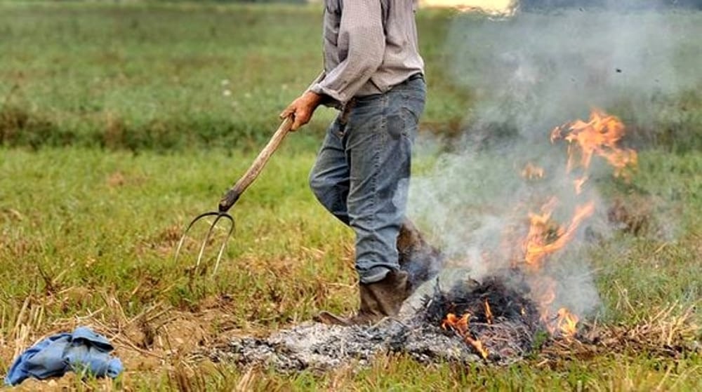 Rischio incendi, dal 6 aprile di nuovo possibili gli abbruciamenti, ma attenzione alle prescrizioni