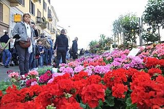 1556881205_49-fiera-dei-fiori