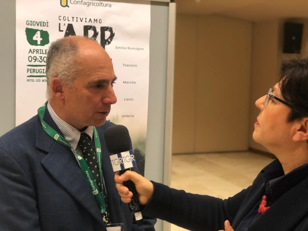 Maltempo, l’allarme degli agricoltori: «Se stanotte scendiamo di nuovo sotto zero, sarà il disastro»