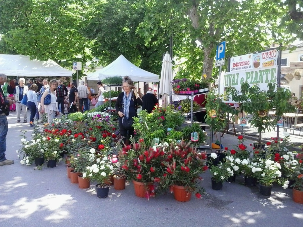 1558088841_Camucia_in_fiera