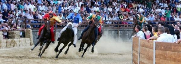 1558111675_foto_palio