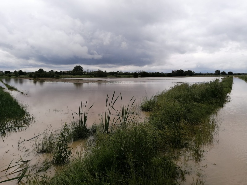 Maltempo: allagamenti e frane, agricoltura sott’acqua. Le immagini del disastro