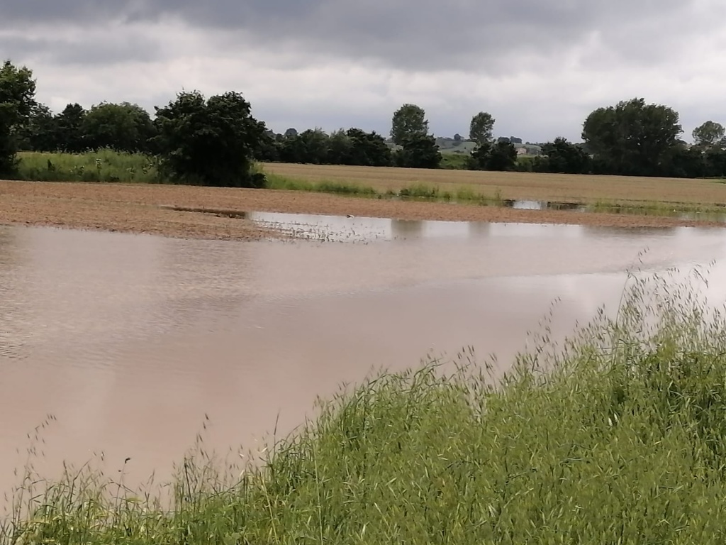 Maltempo, ancora pioggia e temporali nella serata di oggi e domani mercoledì 29 maggio