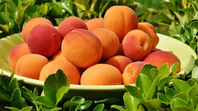 Maltempo poi il caldo: un mese di ritardo nei cicli dell’agricoltura