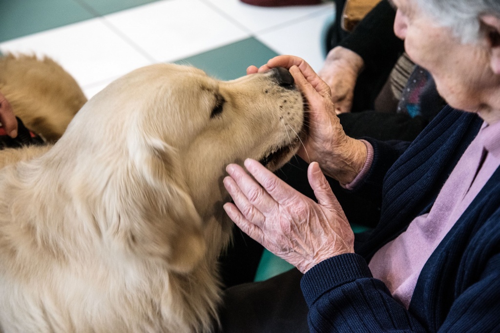 1562051299_pet_therapy