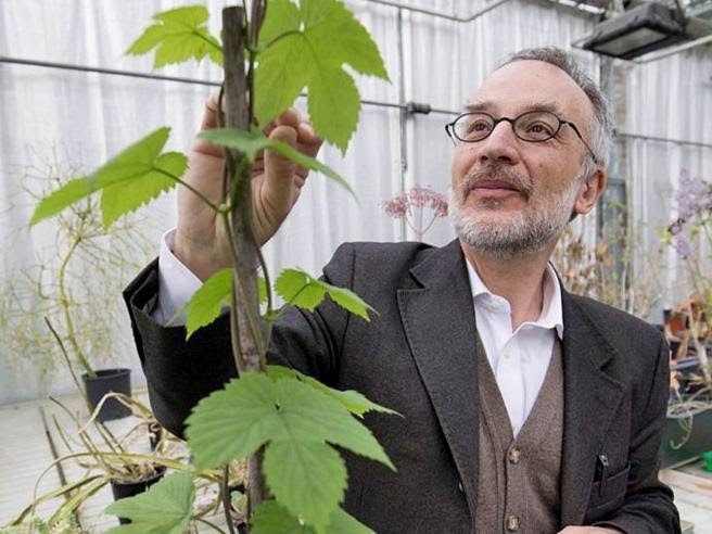 Sansepolcro, una lezione su “Leonardo da Vinci e la botanica” con il botanico Stefano Mancuso con