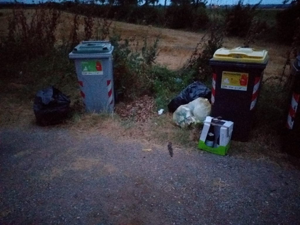 1563341554_PHOTO-2019-07-16-11-29-23