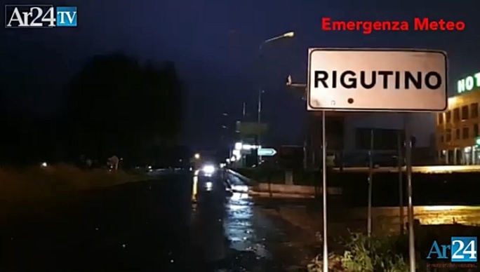 1564266546_Immagine