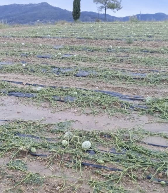 Alluvione, Coldiretti Arezzo: “Ecco la mappa della devastazione”
