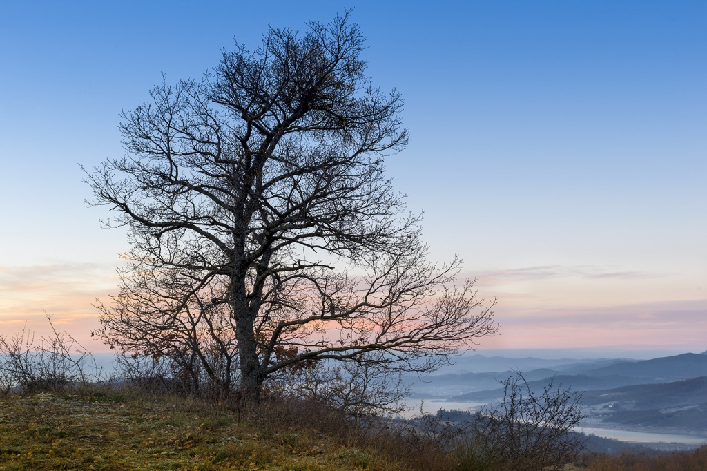1568907256_1-_Valico_di_Viamaggio-Sansepolcro