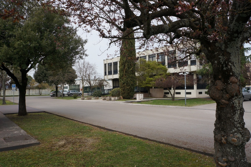 Caso Coingas, Staderini non risponde alla Digos. Attesa per il contenuto completo degli atti