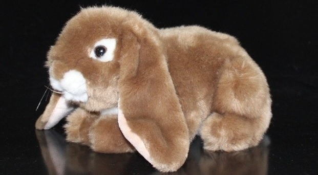 1571654329_coniglio_peluche