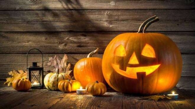 1572501406_halloween1
