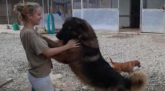 Helenia, i funerali lunedì. In suo nome una sottoscrizione per l’adozione di animali, come avrebbe desiderato