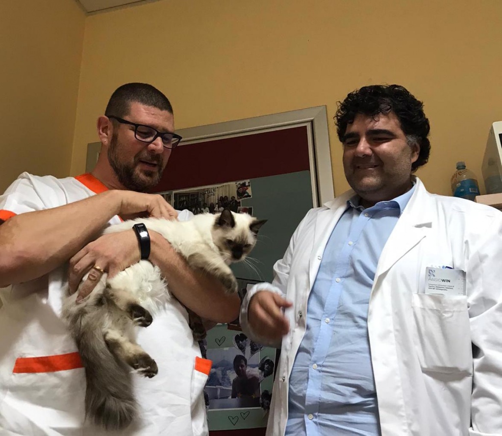 1576148978_12_12_2019_pettherapy4