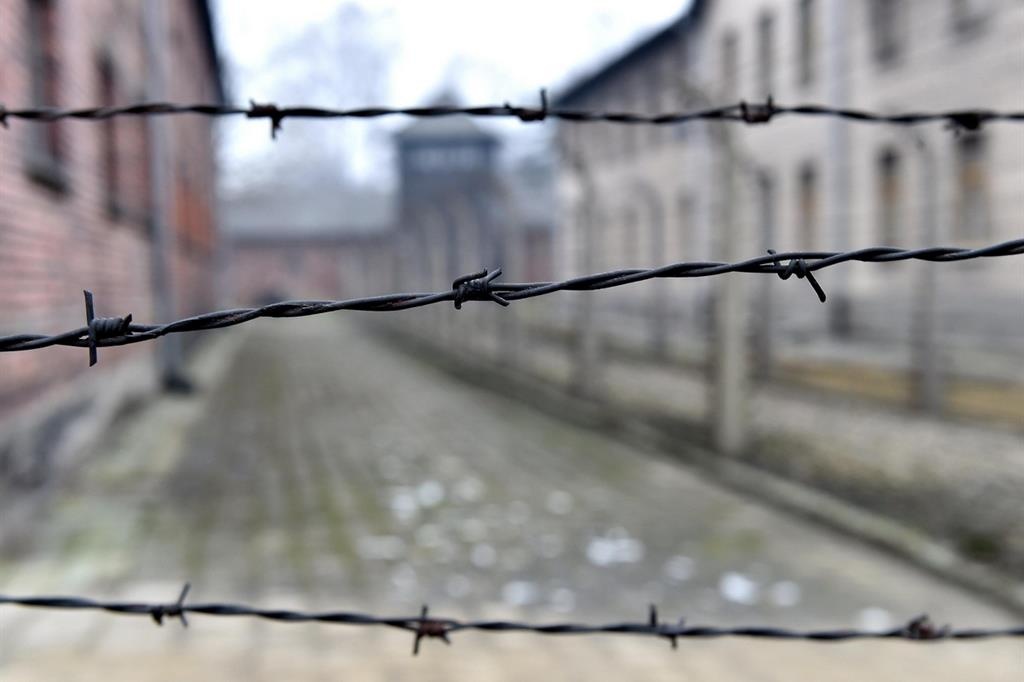 1579868886_shoah
