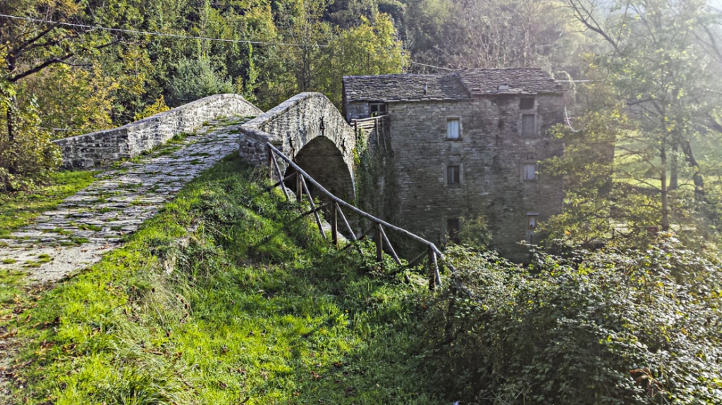 1579870065_cammino_di_dante