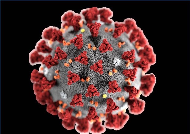 1581610091_coronavirus